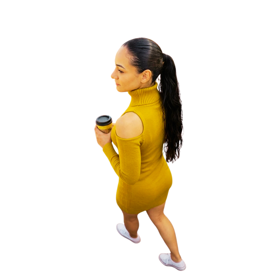 Rovellanix Knit Dress Image